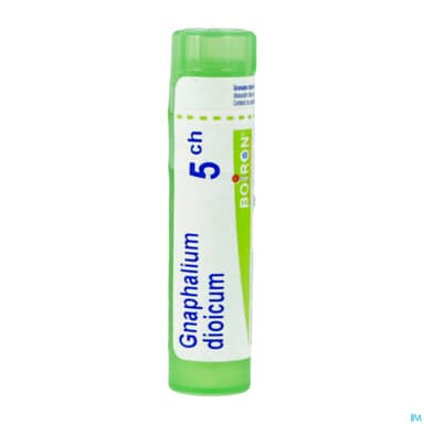 GNAPHALIUM DIOIC 5CH TG B