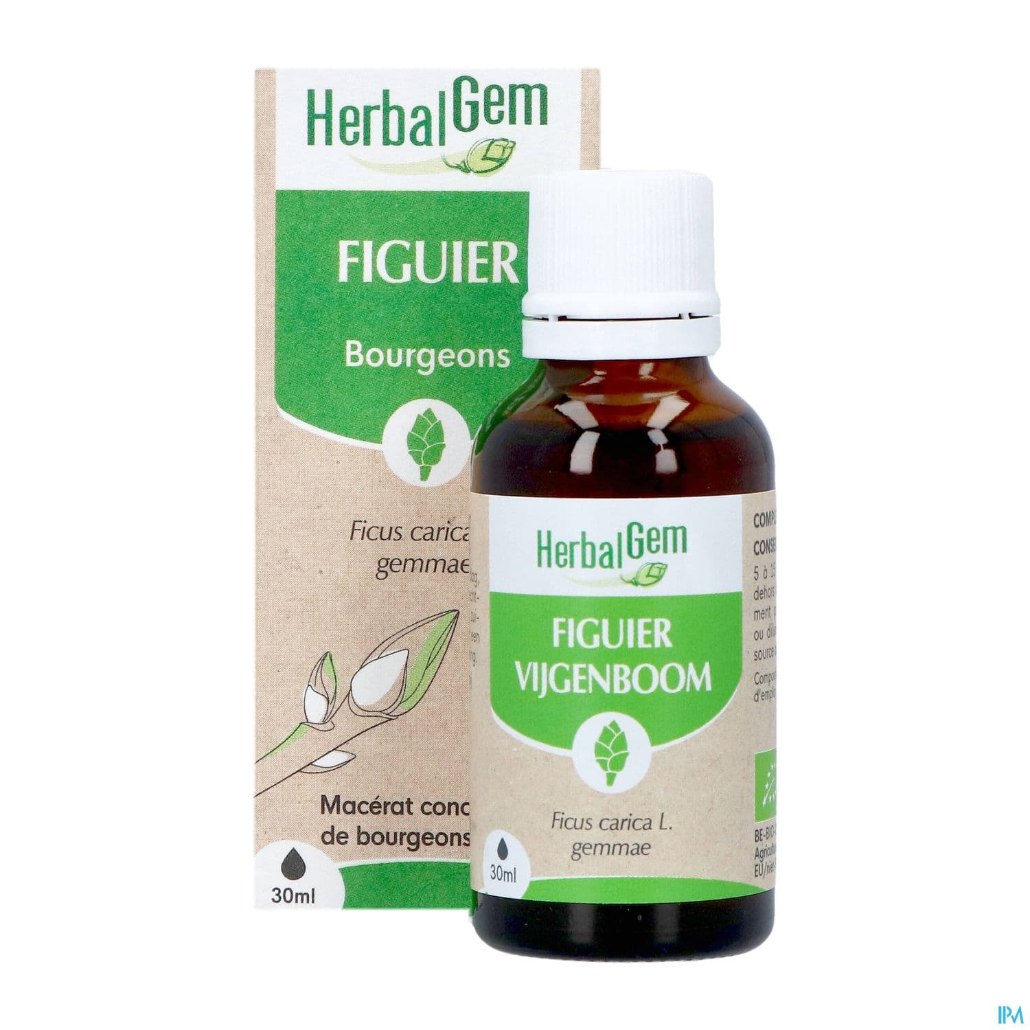 Herbalgem Figuier Bourgeon Macerat Glycer Bio 30ml