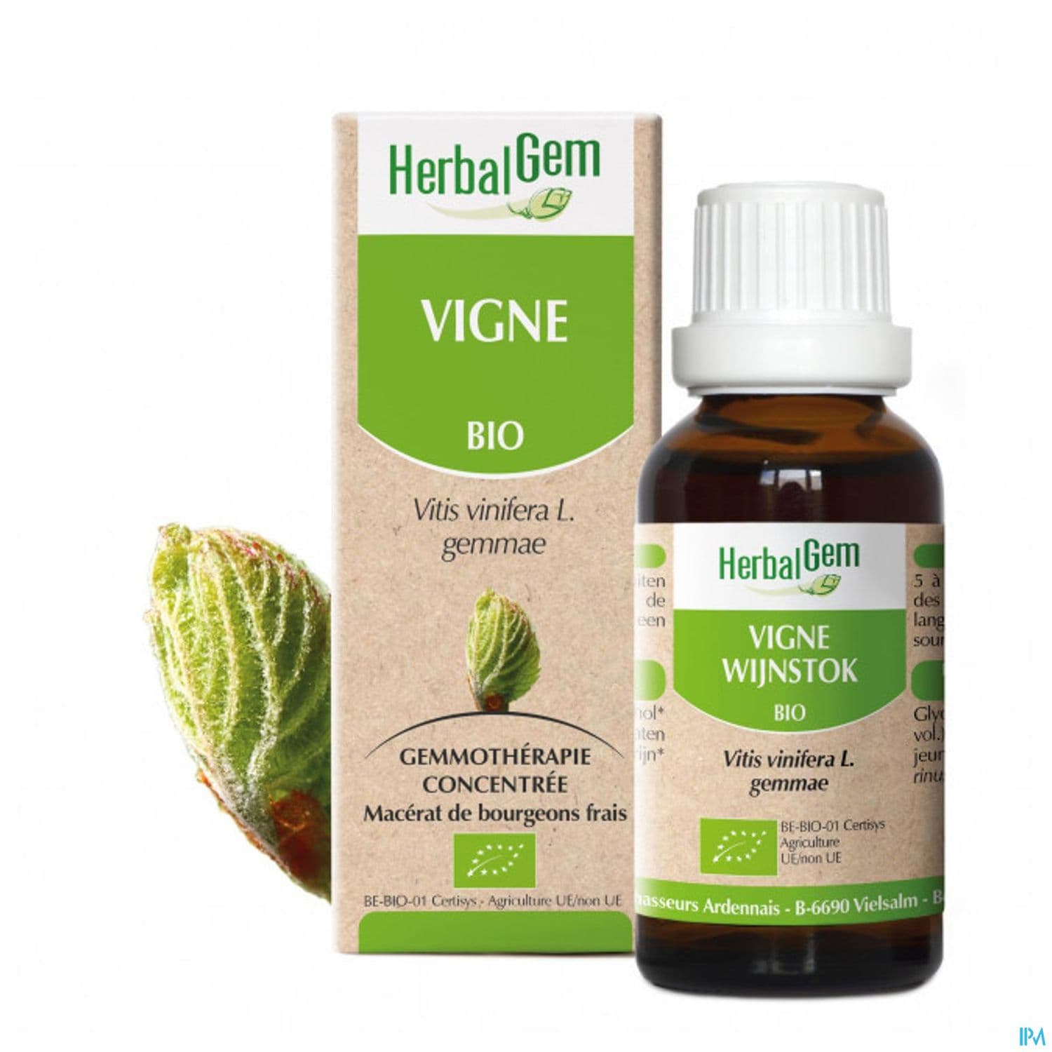 Herbalgem Vigne Bourgeon Macerat Glycerin Bio 30ml