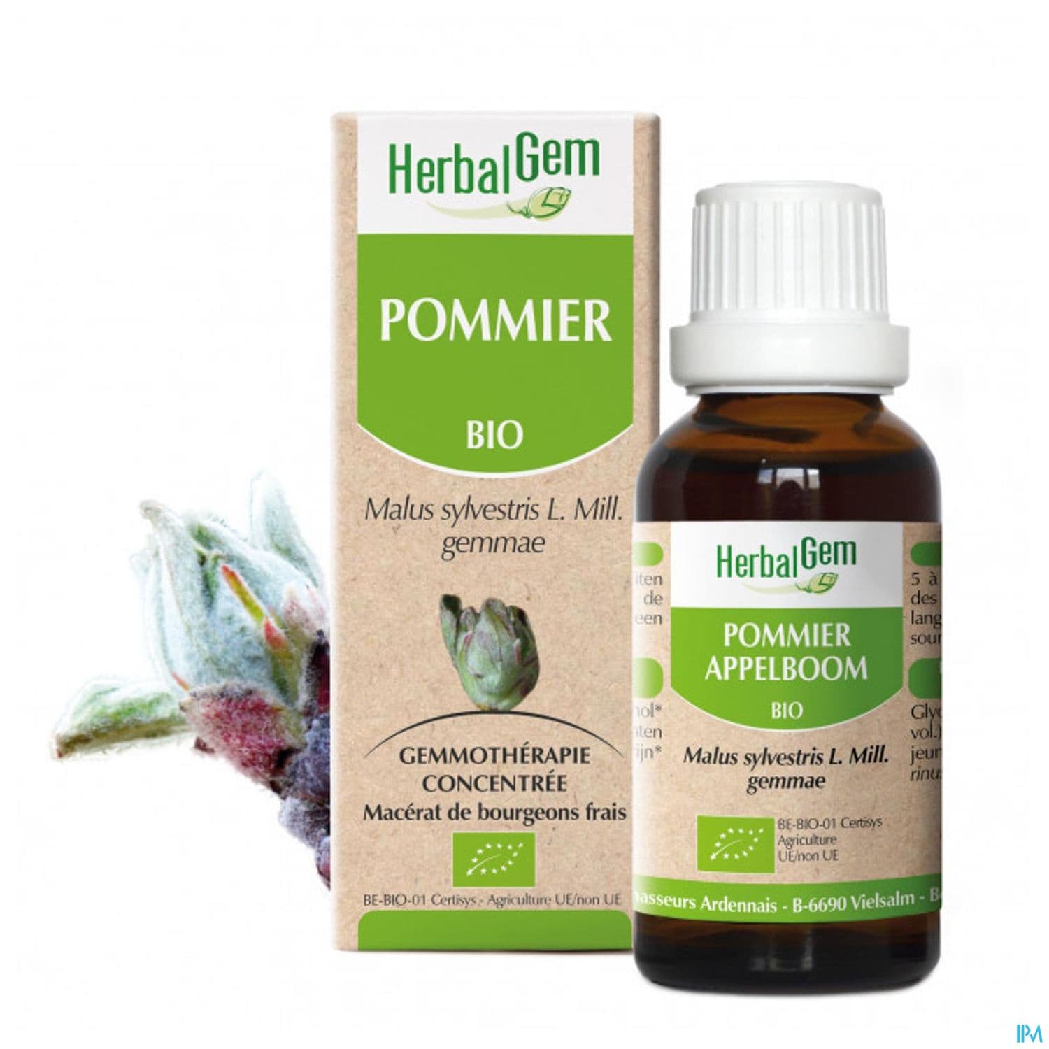 Herbalgem Pommier Bourgeon Macerat Glycer Bio 30ml