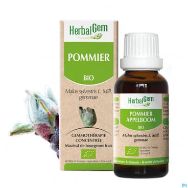Herbalgem Pommier Bourgeon Macerat Glycer Bio 30ml