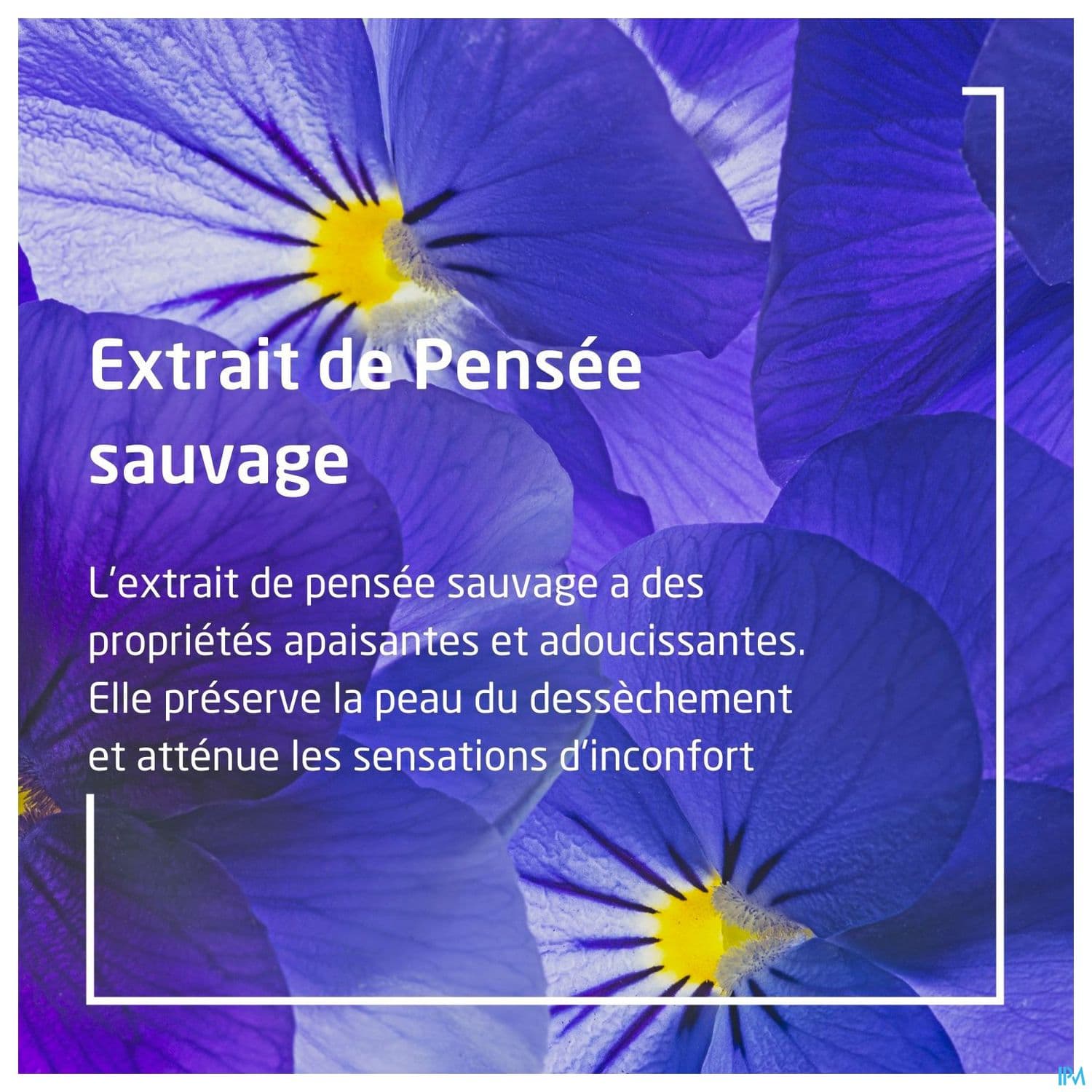 WELEDA SKIN FOOD SOIN REPAR 75ML