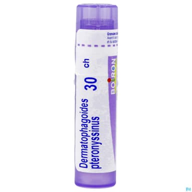 DERMATOPH. PTER. 30CH TG B