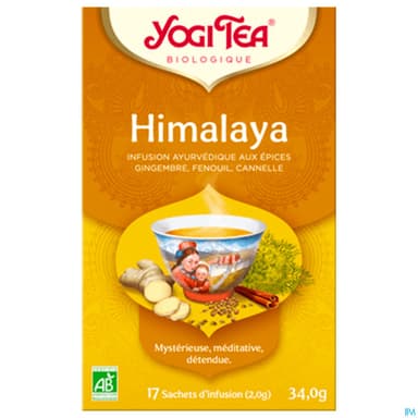 Yogi Tea Himalaya Bio Infusette 2g 17