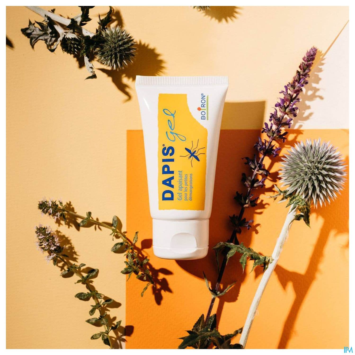 DAPIS GEL MULTILINGUE 40G