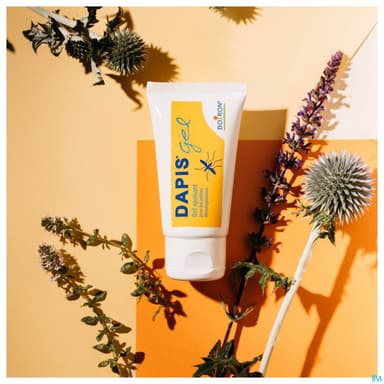 DAPIS GEL MULTILINGUE 40G