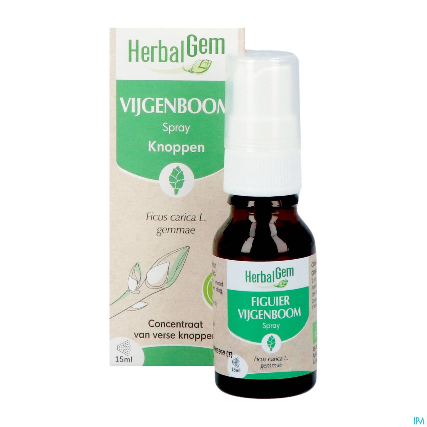 HERBALGEM FIGUIER BIO SPR 15ML
