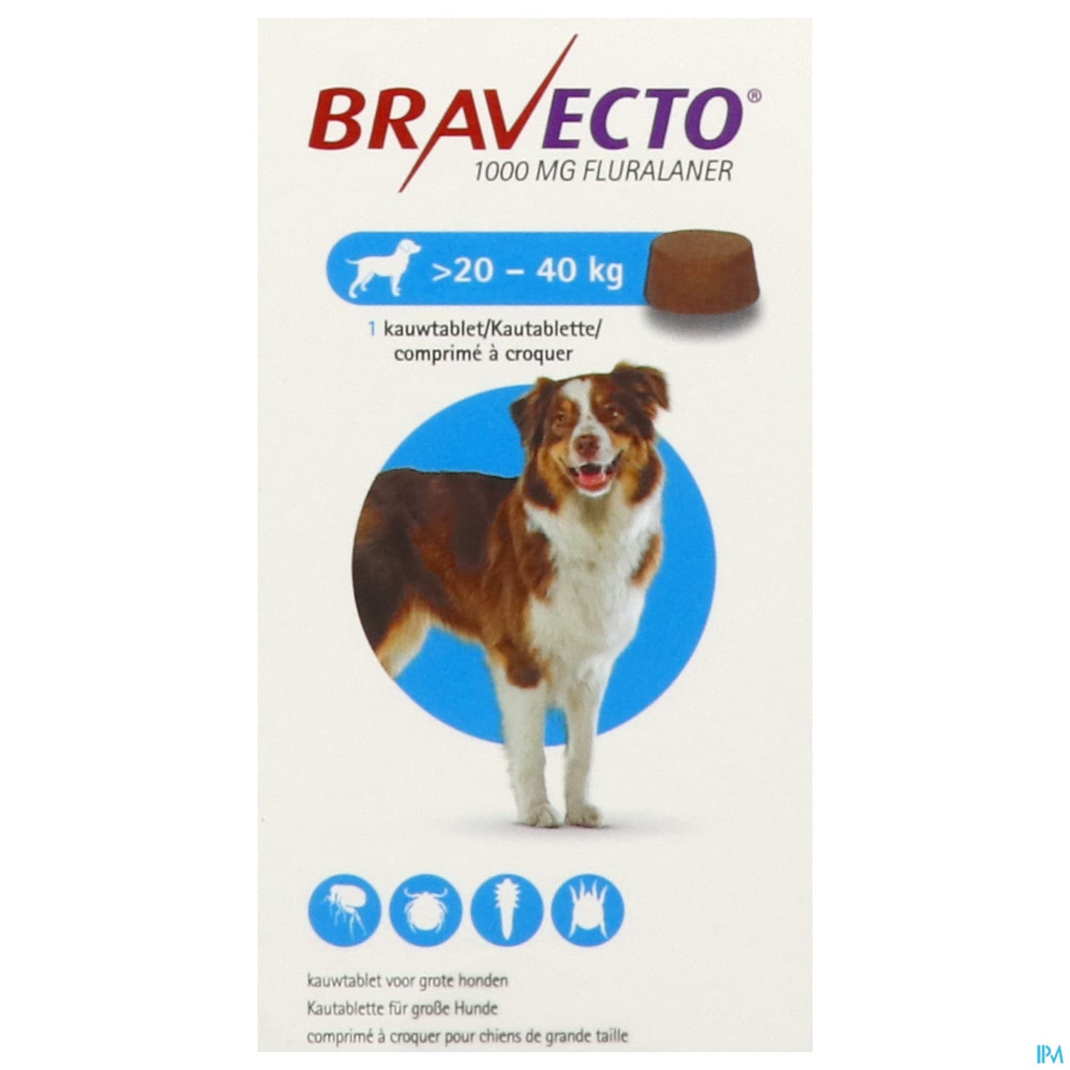 BRAVECTO CHIEN 20KG-40KG CPR 1