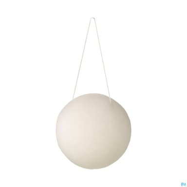 AVRIL EPONGE KONJAC