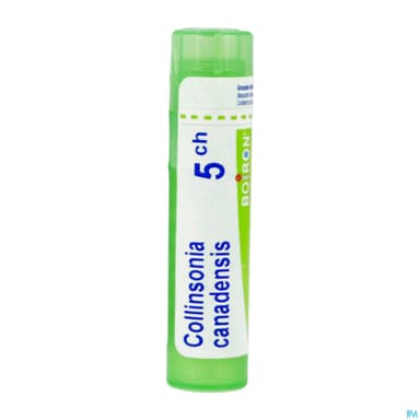 COLLINSONIA CAN. 5CH TG B