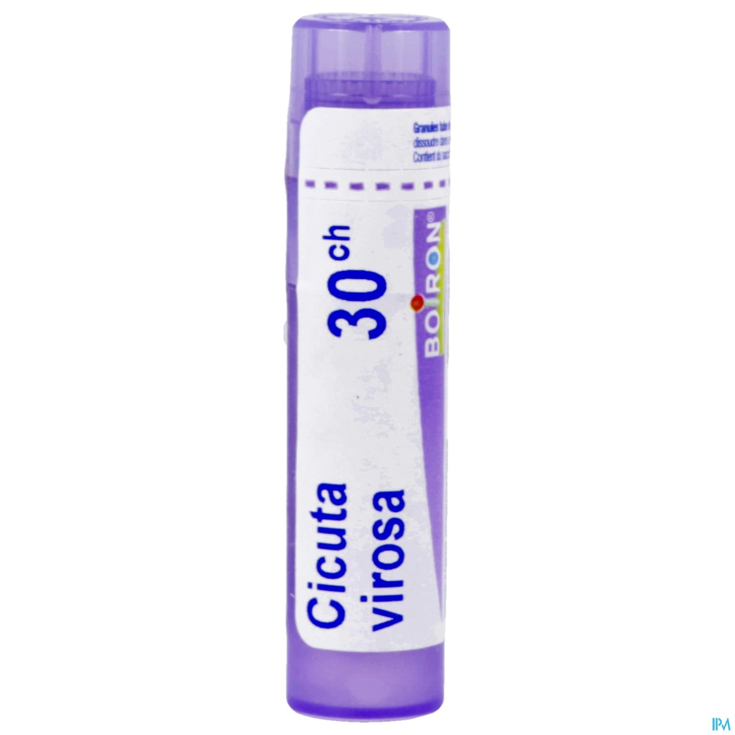 CICUTA VIROSA 30CH TG B