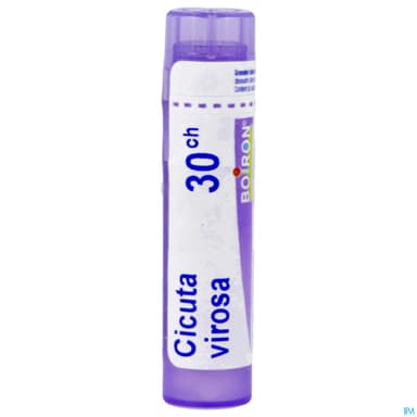 CICUTA VIROSA 30CH TG B