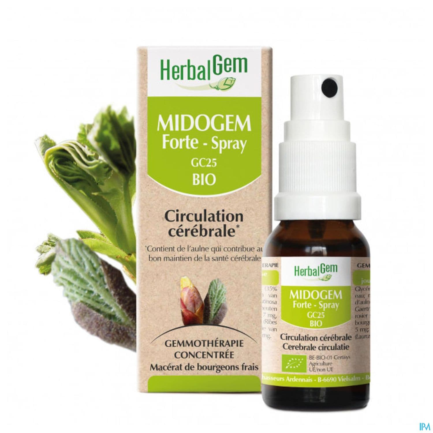 Herbalgem Midogem Forte Gc25 Cerebral Bio Spray 15ml