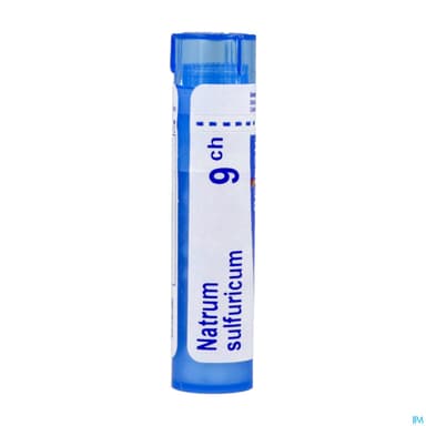 Boiron Natrum Sulfuric. 9ch Granules 4g