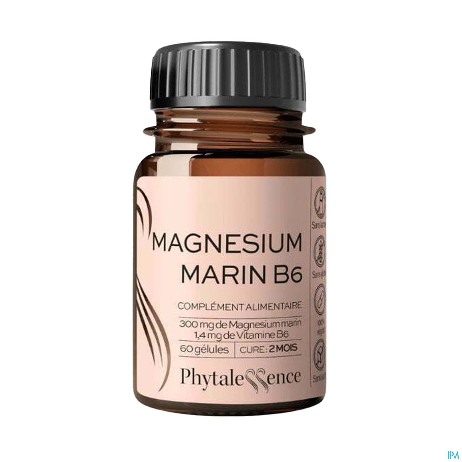 PHYTALESS MAGNES MARIN/B6 GELUL 60