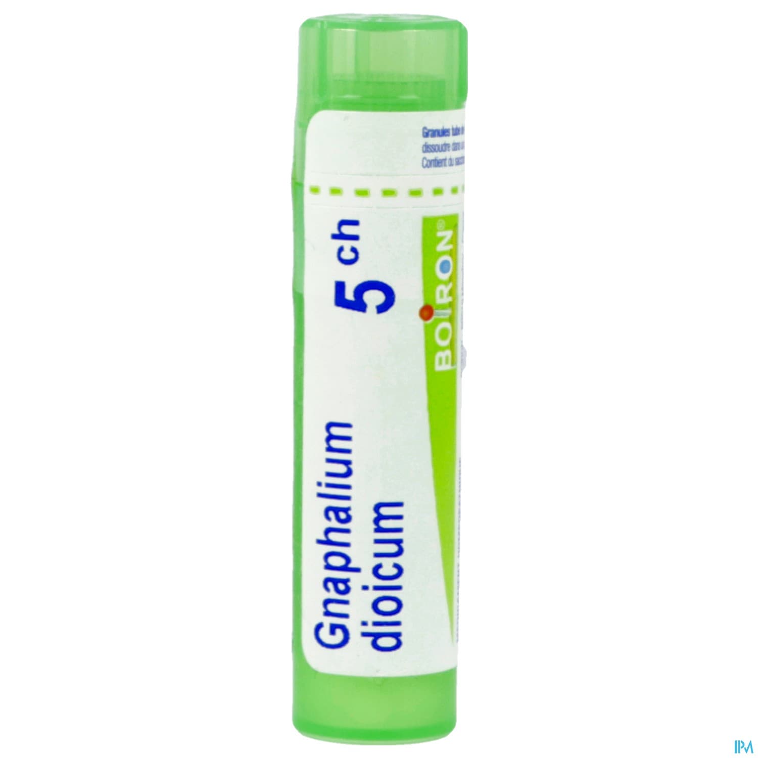 GNAPHALIUM DIOIC 5CH TG B