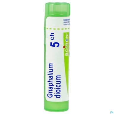 GNAPHALIUM DIOIC 5CH TG B