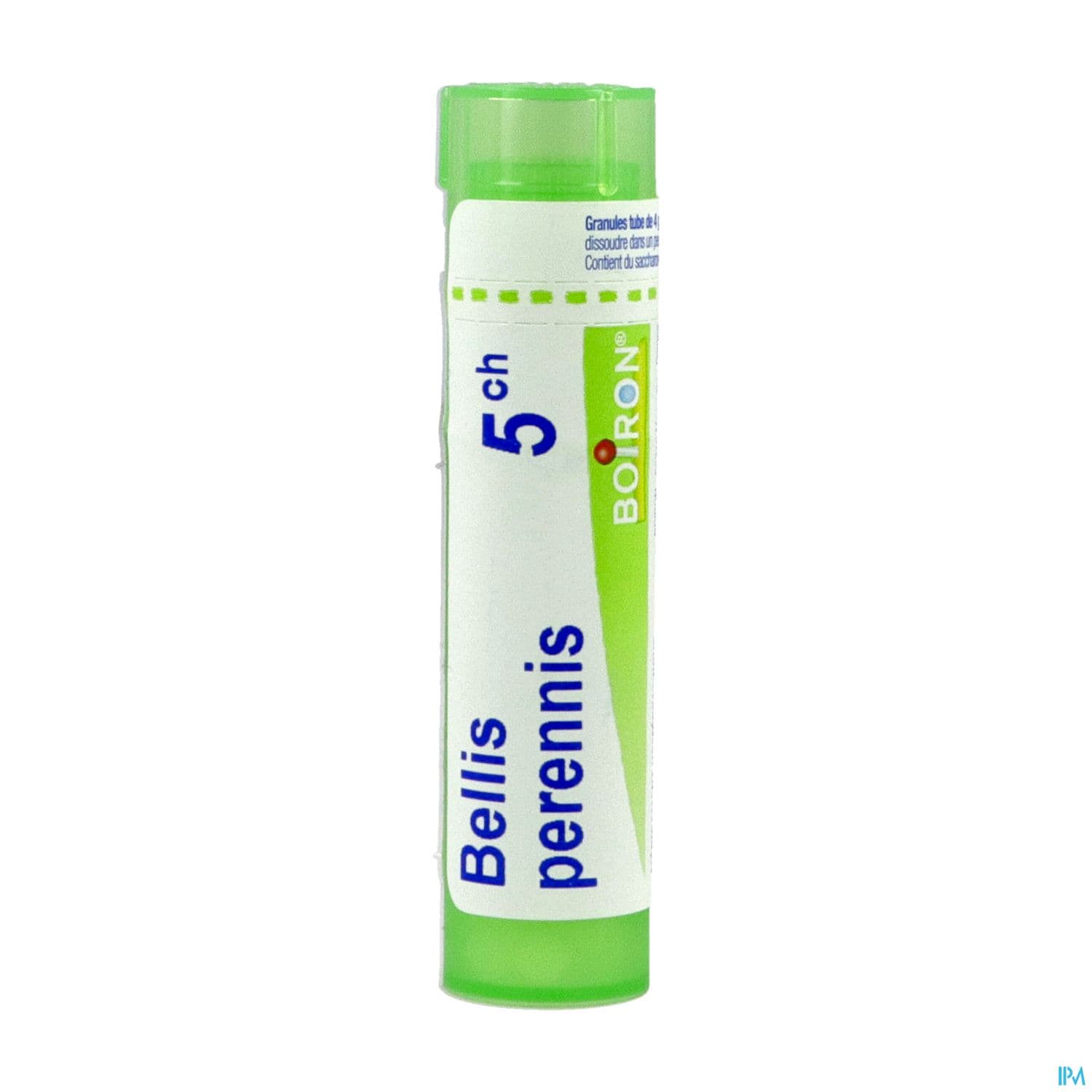 BELLIS PERENNIS 5CH TG B