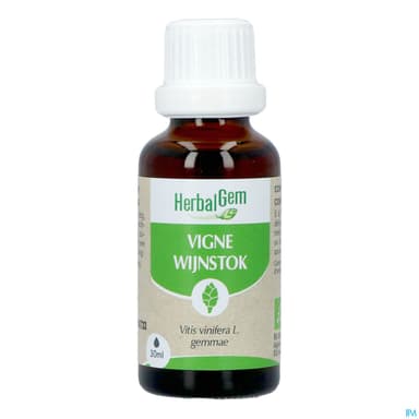 Herbalgem Vigne Bourgeon Macerat Glycerin Bio 30ml