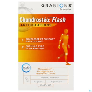 CHONDROSTEO FLASH GELUL 40