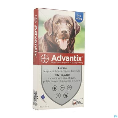 Advantix Chien Grand Spot On Solution 4ml 4