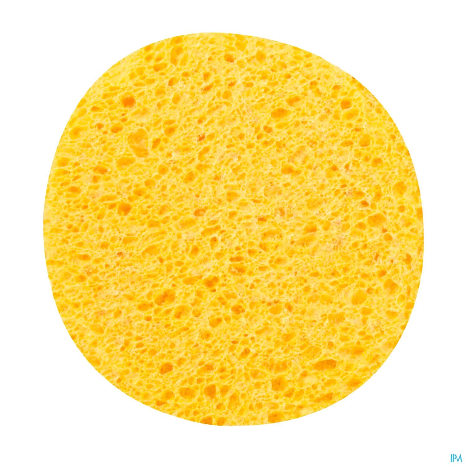 Calysia Eponge Vegetale Ovale