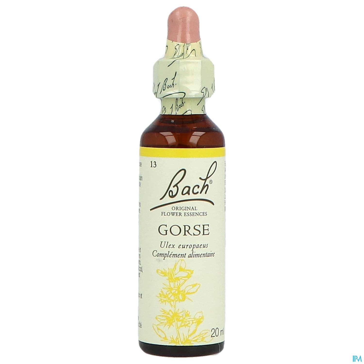 FL BACH ORIGINAL GORSE 20ML