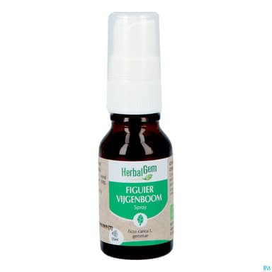 HERBALGEM FIGUIER BIO SPR 15ML
