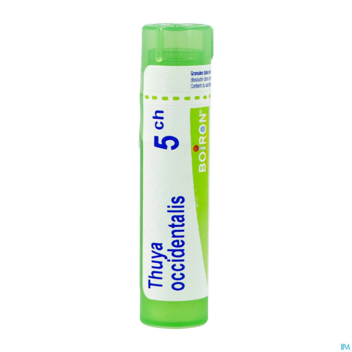 THUYA OCCIDENT. 5CH TG B