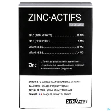 Synactifs Zinc Actifs Gelule 60