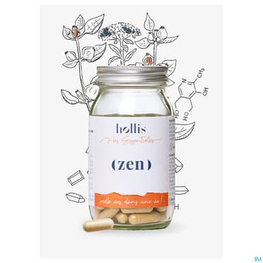 HOLLIS ZEN GELUL 90