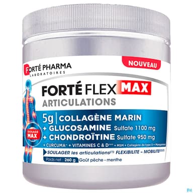 FORTE FLEX MAX ARTICULAT POT 260G
