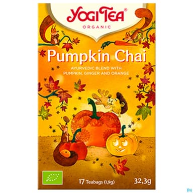 Yogi Tea Pumpkin Chai Bio Infusette 1g9 17