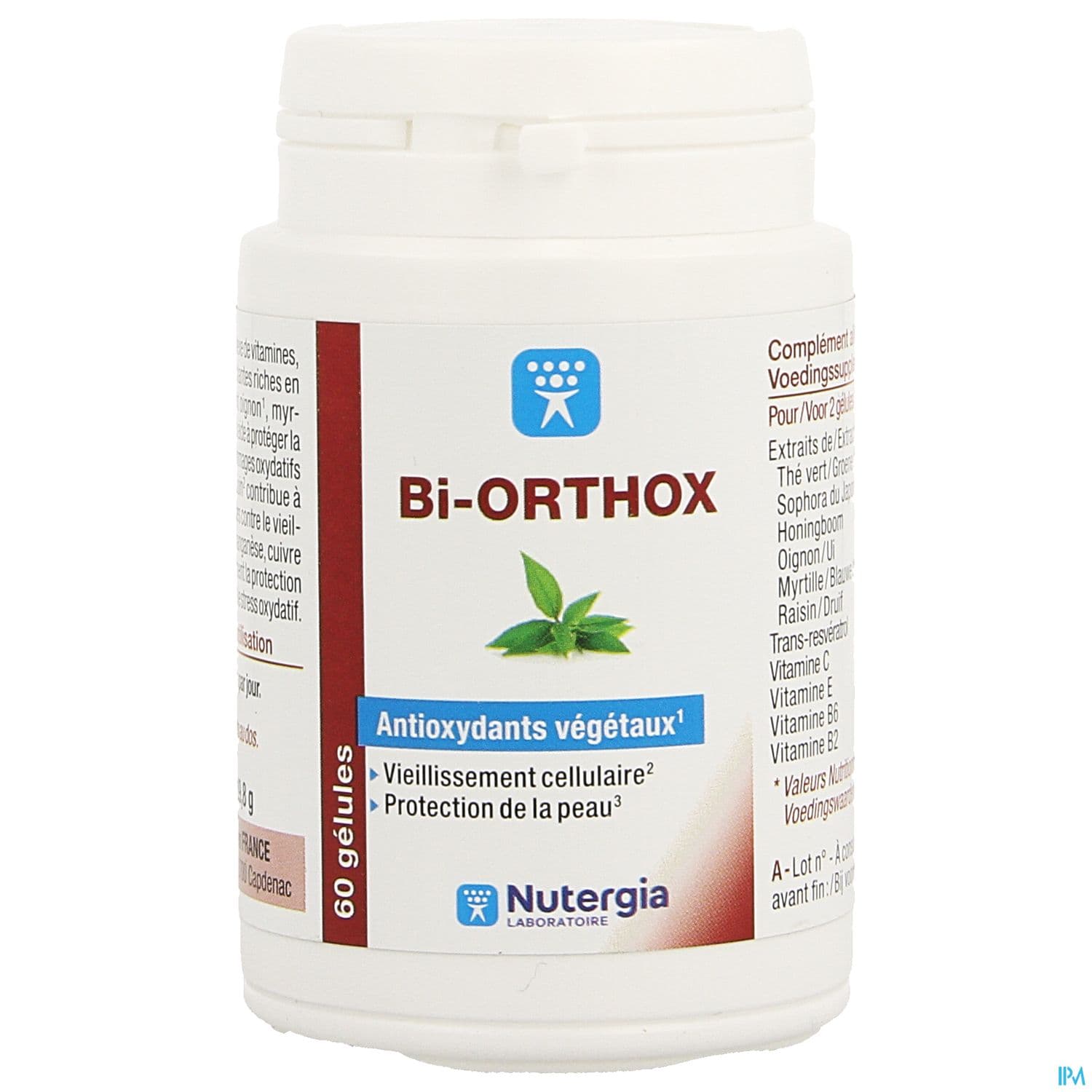 BI-ORTHOX GELUL 60