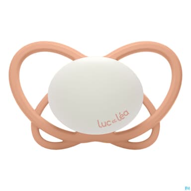 Luc Et Lea Sucette Physiologique Nuit 6/18m P8 X2
