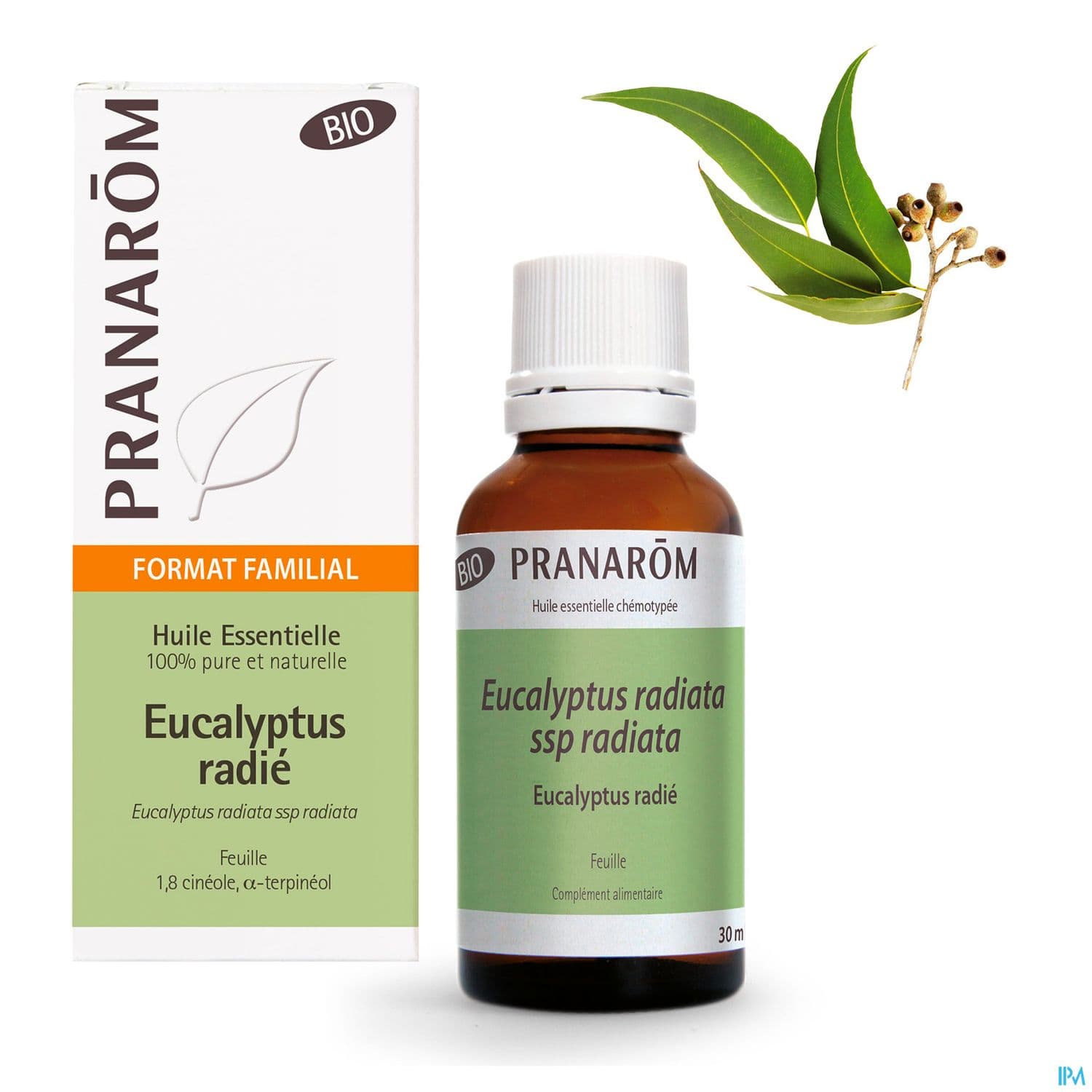 Eucalyptus Radiata Bio Hle Ess 30ml Pranarom