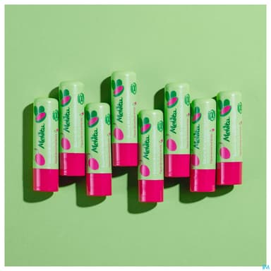 Melvita Impluse Soin Levres Reparation Stick Bio 3g5