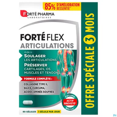 Forte Pharma Forte Flex Articulations 3mois Gelule 90