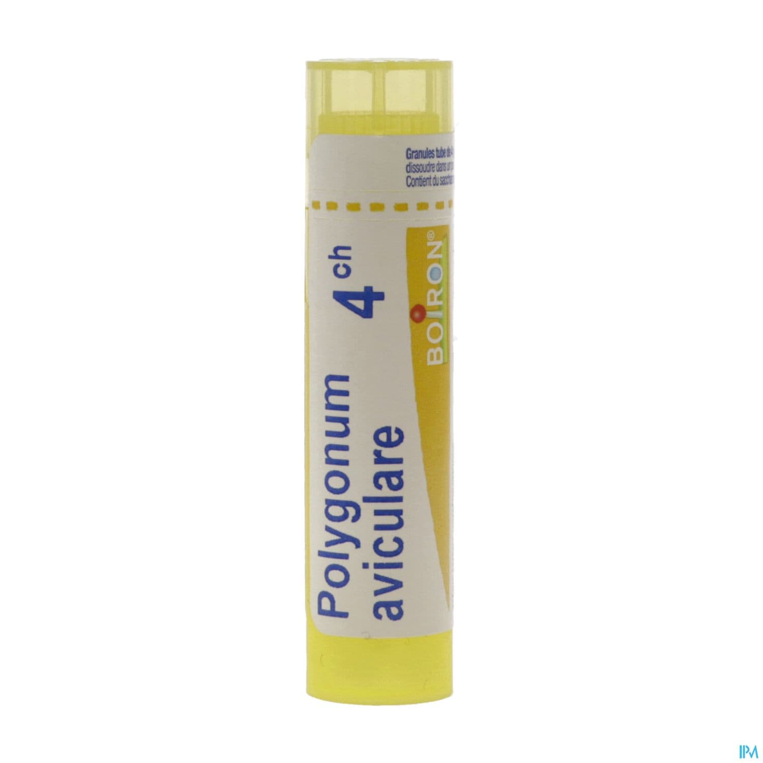 POLYGONUM AVIC. 4CH TG B