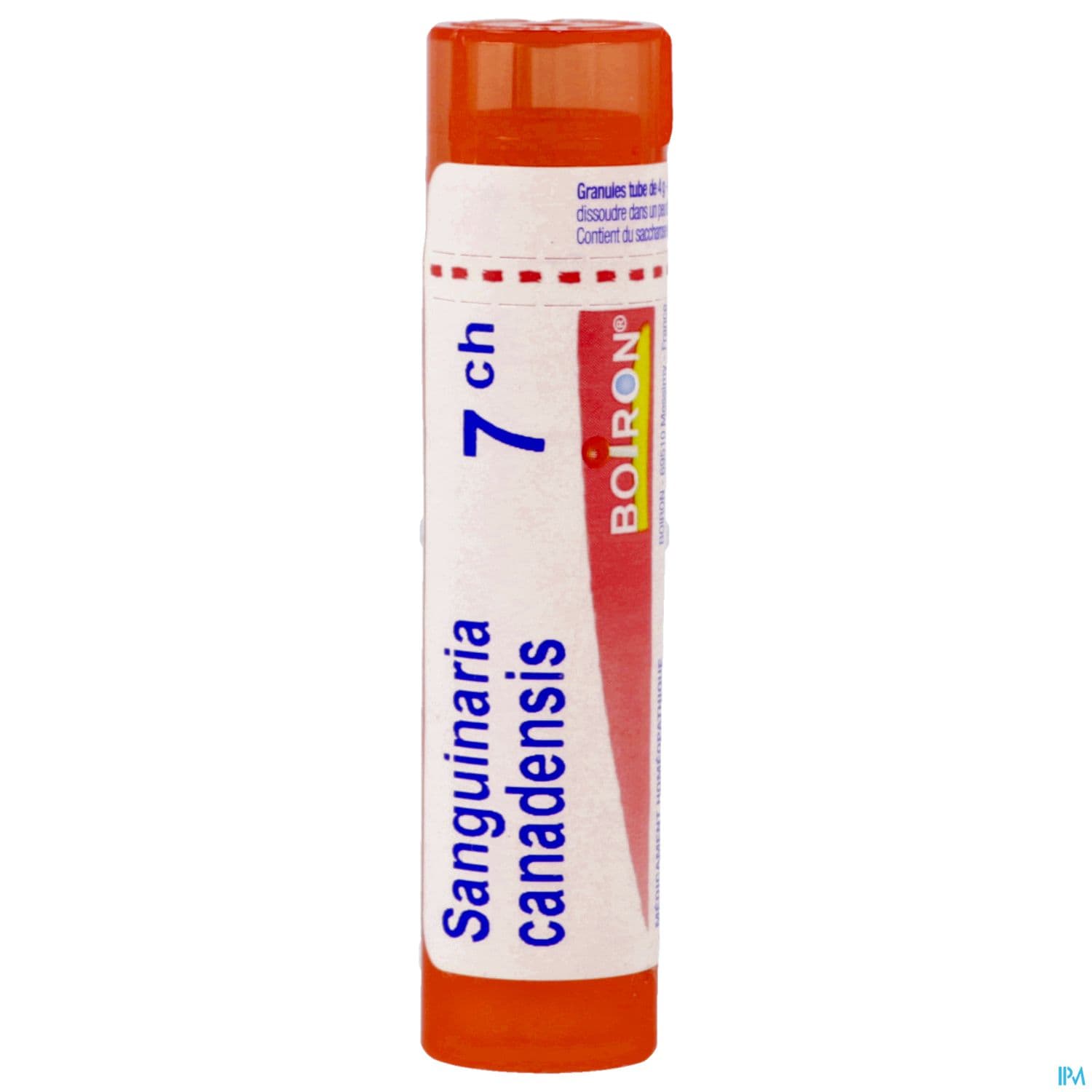 SANGUINARIA CAN. 7CH TG B