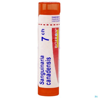 SANGUINARIA CAN. 7CH TG B