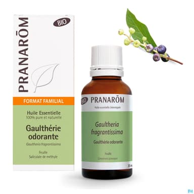 Gaultherie Odorante Bio Hle Ess 30ml Pranarom