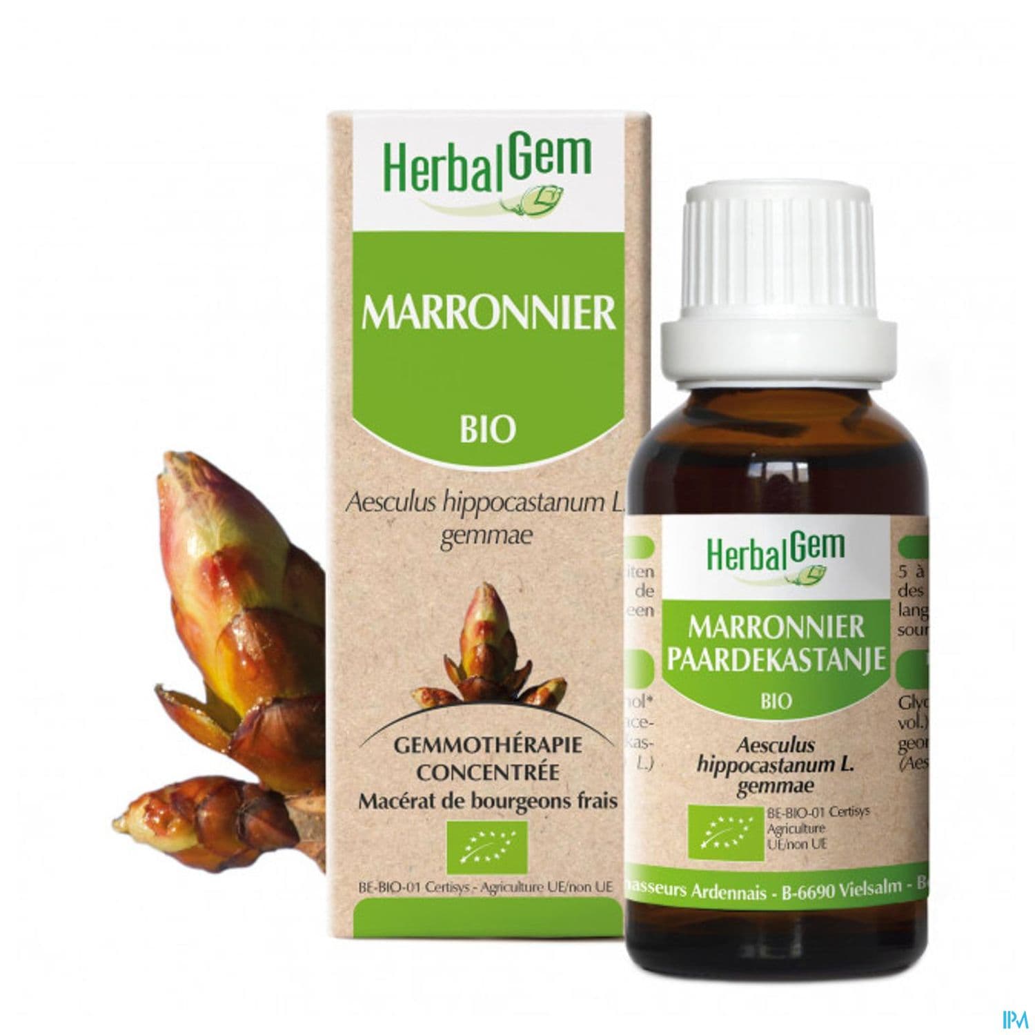 Herbalgem Marronnier Bourgeon Macerat Gly Bio 30ml