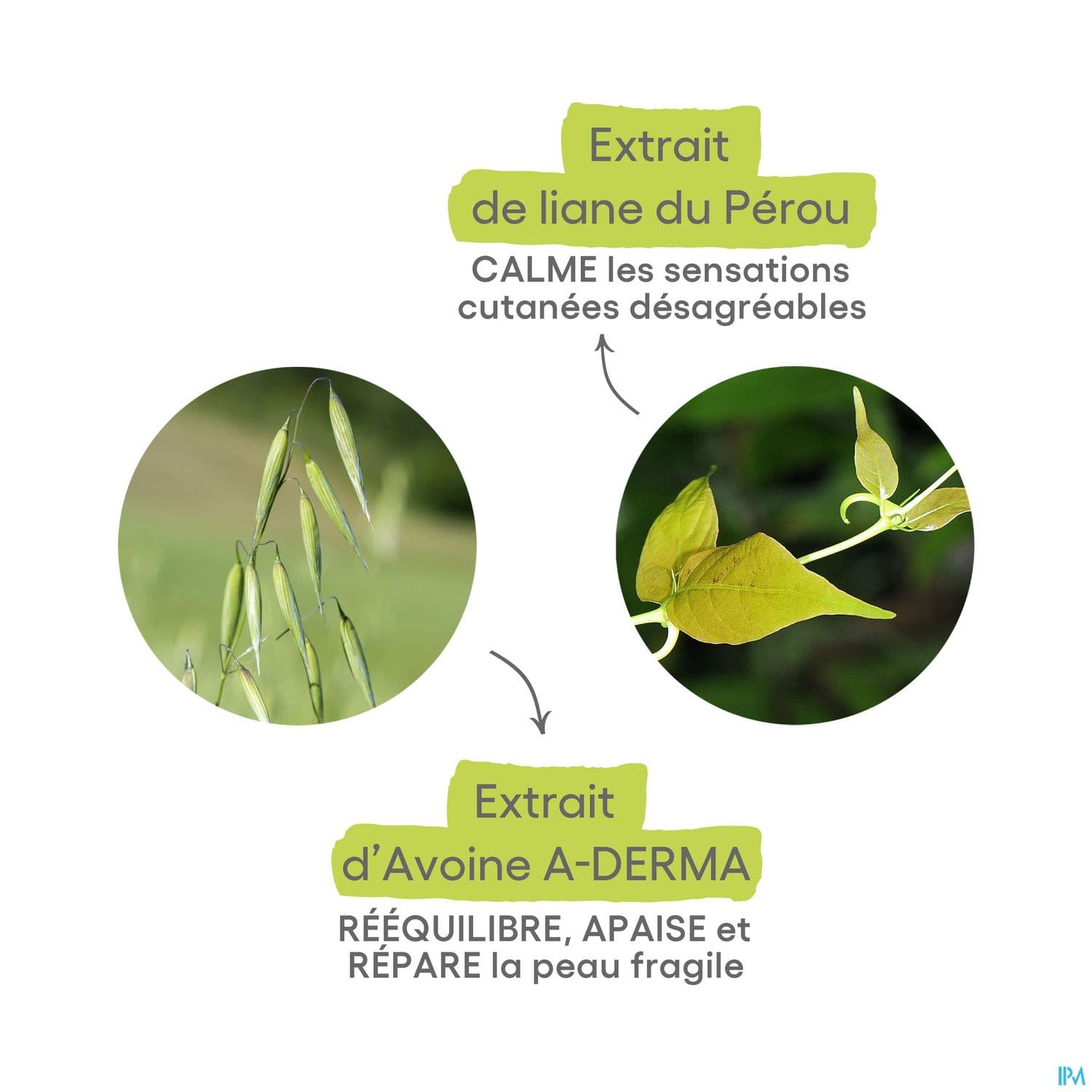 A-DERMA CUTALGAN ROLLON 10ML