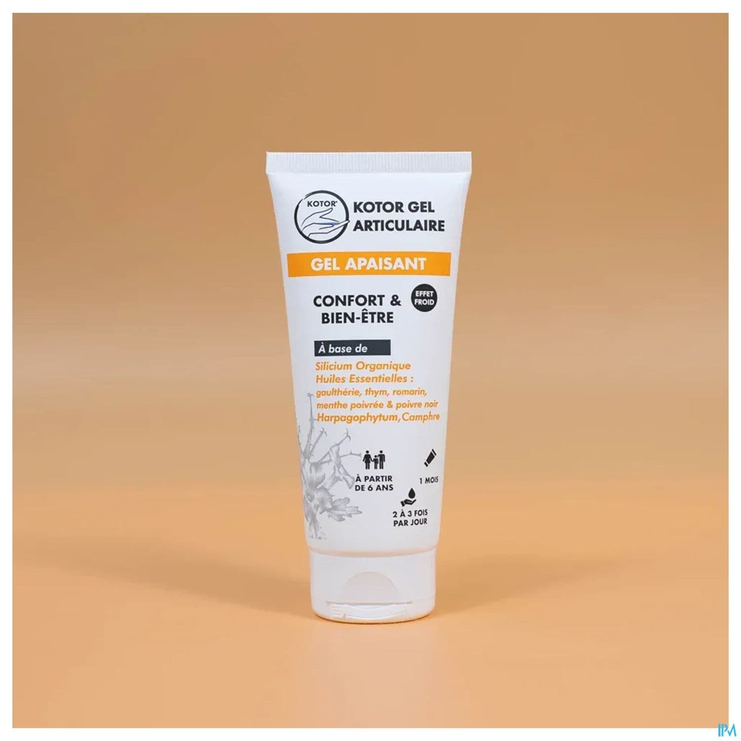KOTOR GEL ARTICULAIRE APAIS 100ML