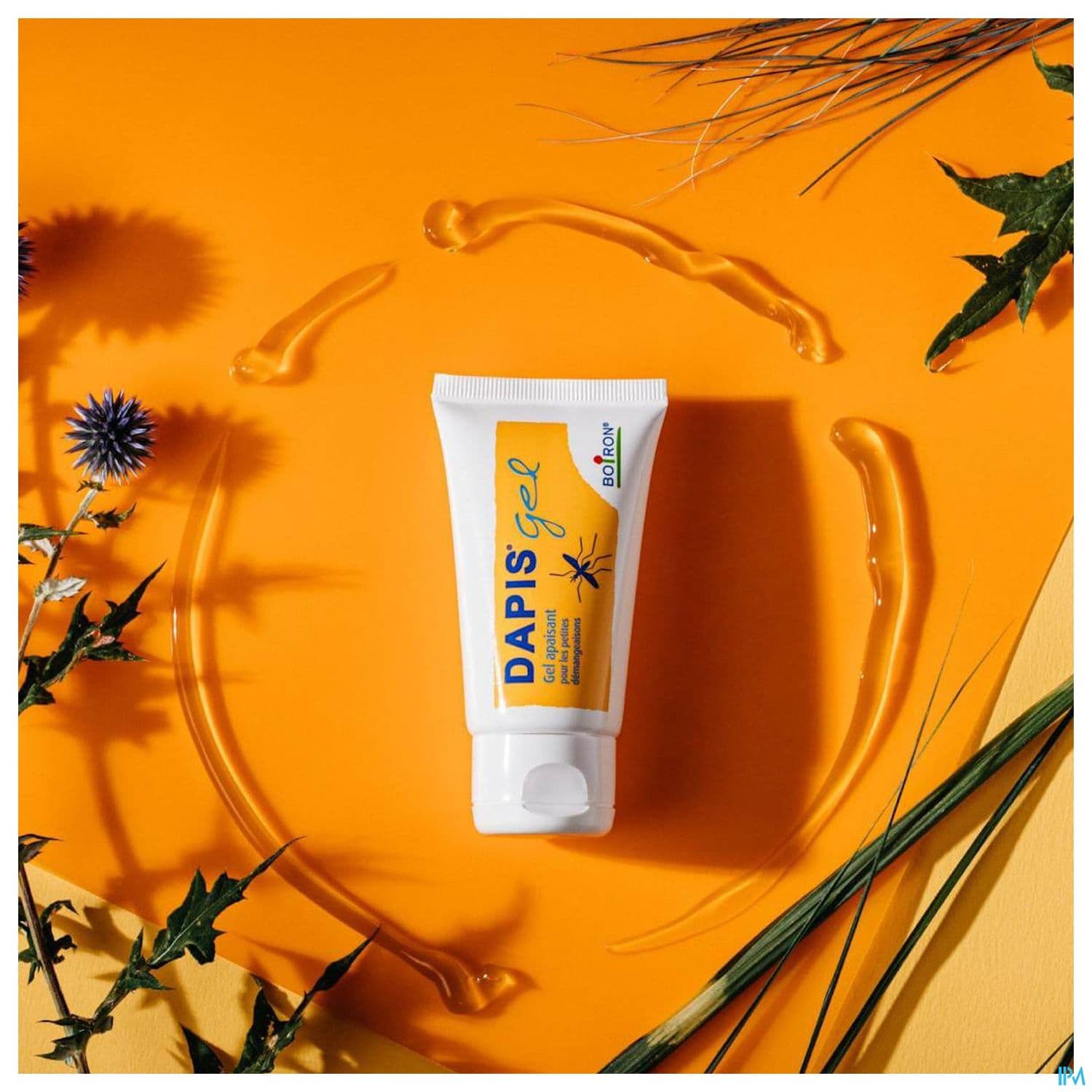 DAPIS GEL MULTILINGUE 40G