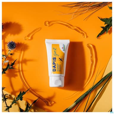 DAPIS GEL MULTILINGUE 40G