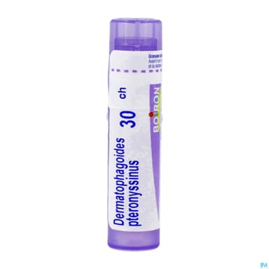 DERMATOPH. PTER. 30CH TG B