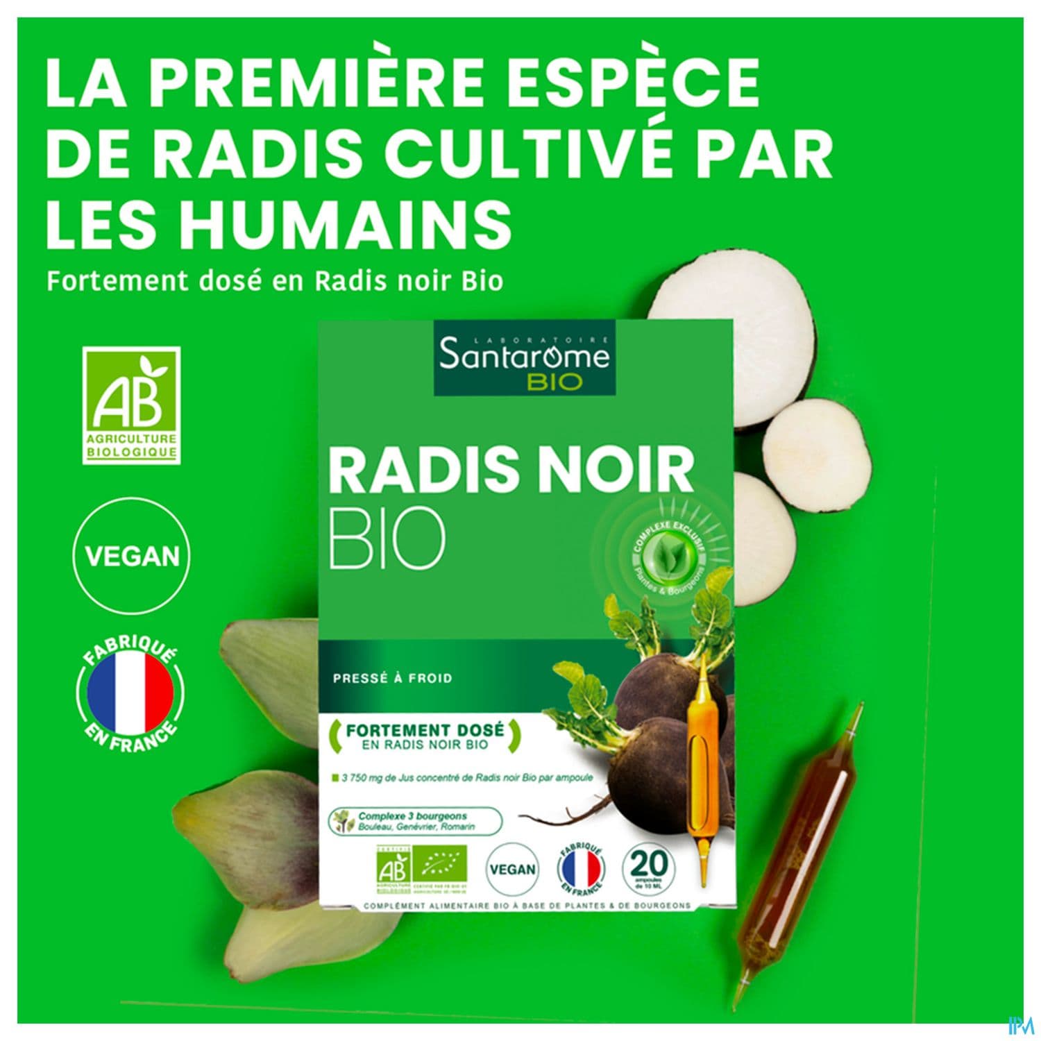 SANTAROME BIO RADIS NOIR AMP 20