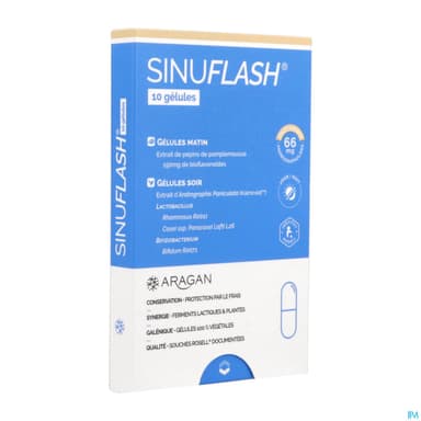 ARAGAN SINUFLASH GELUL 10